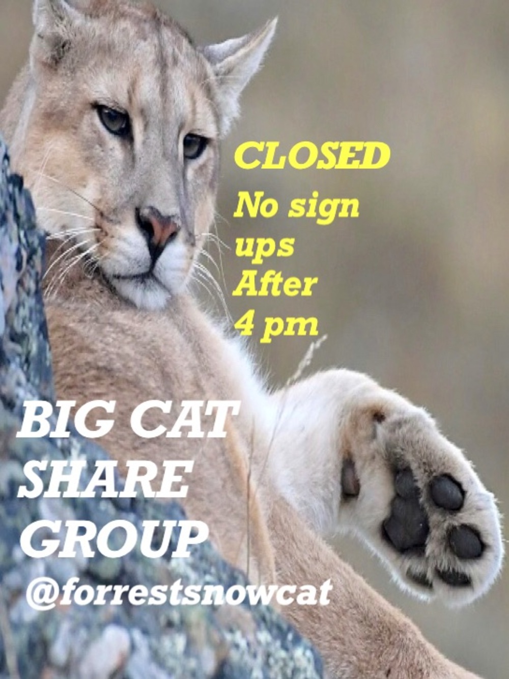 BIG CAT SHARE GROUP   MONDAY 9/21 CLOSED